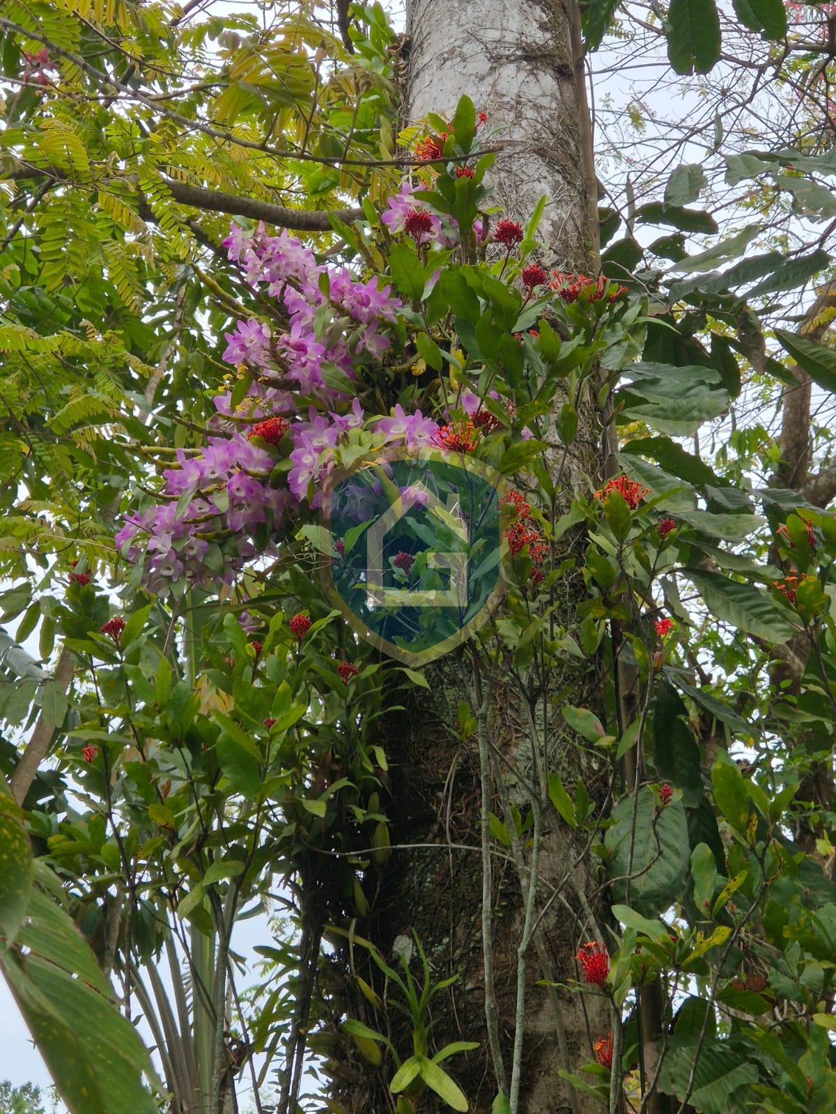 WhatsApp Image 2025-10-11 at 15.49.24 (1)