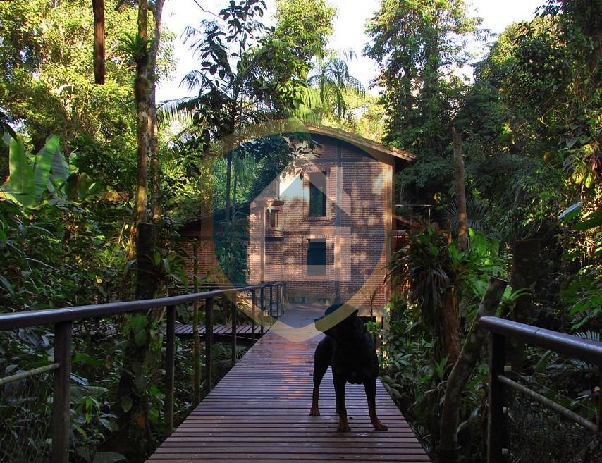 WhatsApp Image 2025-10-17 at 14.31.26 (10)